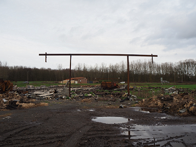 photo de la sculpture Perroquet